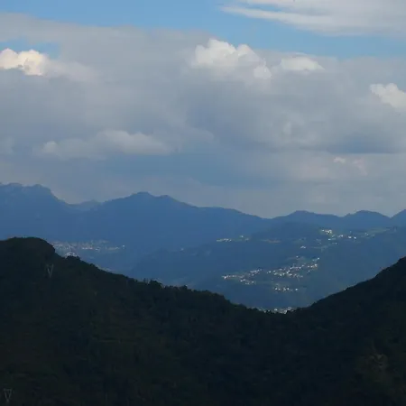 2021 3* 龙科拉